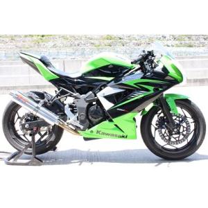 カワサキ　Ninja250SL K&Tマフラー　ニンジャ250SL K＆T K&T ケイアンドティー フルエキマフラー Ninja250SL