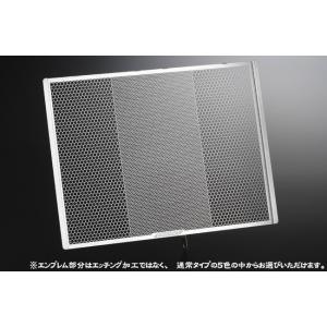 ETCHING FACTORY エッチングファクトリー ZX-10R(06-07)用 ラジエターガー...