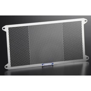 ETCHING FACTORY エッチングファクトリー R1-Z(90-99)用ラジエターガード R...