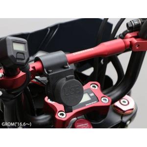 ENDURANCE エンデュランス USBチャ...の詳細画像4