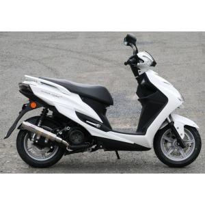 COERCE（コワース） フェンダーレスキット イナズマ1200(GSX1200FS