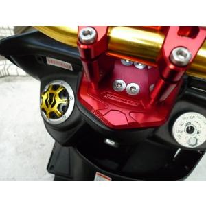 Go Works ゴーワークス トップブリッジ カラー：ブラック SMAX (台湾) MAJESTY...