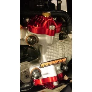 Go Works ゴーワークス シリンダーヘッドサイドカバー カラー：ブラック GTR150 GTR...