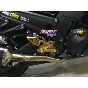 RSV racing アールエスブイレーシング Rearset adjustable ZX14 AB...