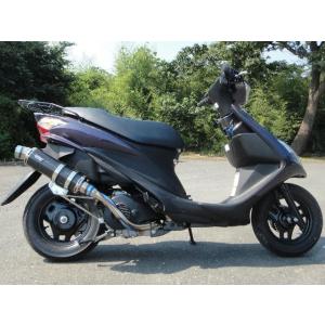 WINDJAMMERS ウインドジャマーズ チタンスクデット マフラー F/Ti O2有