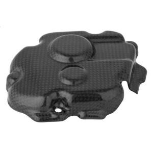 LighTech ライテック ドライカーボン ピックアップカバー ZX-10R SE ZX-10RR...