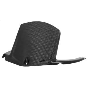 LighTech ライテック ドライカーボン リアマッドガード ZX-10R SE ZX-10RR ...