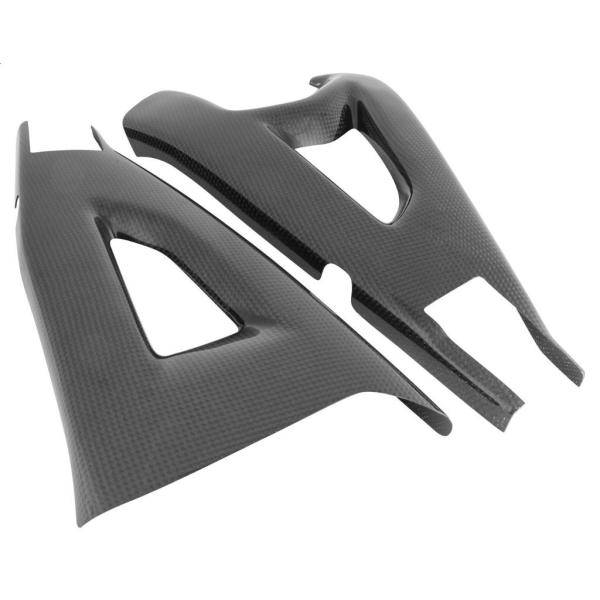 LighTech ライテック ドライカーボン スイングアームプロテクター ZX-10R SE ZX-...