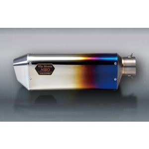 PRO SKILL プロスキル レーシングサイレンサー TT250R レイド