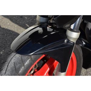 ホーネット 250 ACPアンダーカウル 楽天市場】EIGHT(才谷屋) エイト(サイタニヤ) アンダーカウル