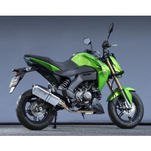 アロー トライアンフ タイガー 800 ARROW スリップオン チタン