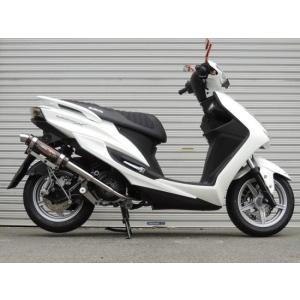 BURIAL ベリアル GPバージョンマークV マフラー カラー