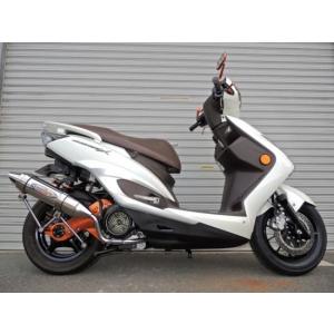 BURIAL ベリアル GPバージョンマークV マフラー カラー