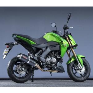 BEAMS ビームス バイク用 マフラー Z125 PRO 2BJ - BR125H