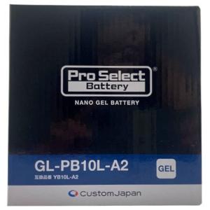 Pro Select Battery プロセレクトバッテリー ナノ・ジェルバッテリー【GL-PB10...
