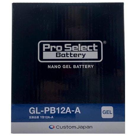 Pro Select Battery プロセレクトバッテリー ナノ・ジェルバッテリー【GL-PB12...