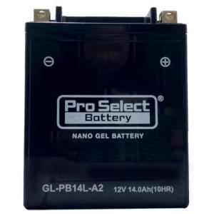 SVR20 AGM BATTERY バッテリー スリーマイルズ : 45ディグリー - 通販