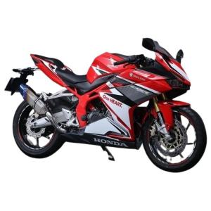 SCORPION スコーピオン レッドパワー フルエキゾーストマフラー タイプ