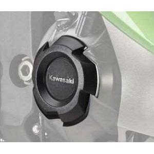 Kawasaki カワサキ クランクケースリング Ninja 1000 (Z1000SX) 1000...