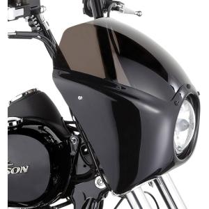 アレンネス（Arlen Ness） フェアリングルーバード NG 【FAIRING