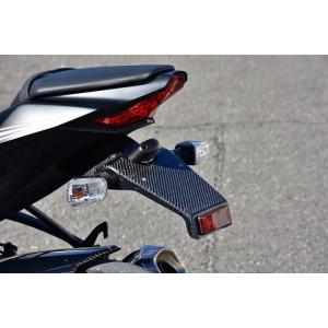 EIGHT(才谷屋) エイト(サイタニヤ) フェンダーレスキット カラー：黒ゲル ZX-10R KA...