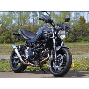 CHIC DESIGN シックデザイン ガイラガントレット スクリーンカラー：スモーク SV650 ...