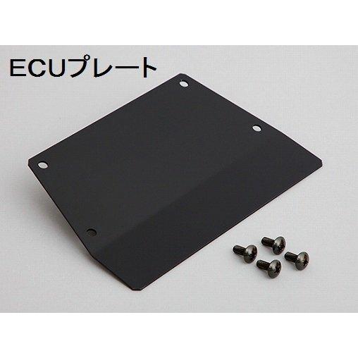CLEVER WOLF クレバーウルフ ECUプレート GSX-R1000 SUZUKI スズキ そ...