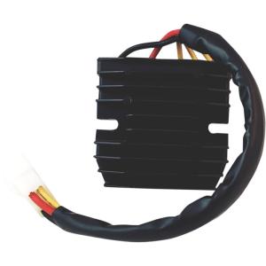 RICK’S MOTORSPORT ELECTRIC リックズモータースポーツエレクトリック レギュ...
