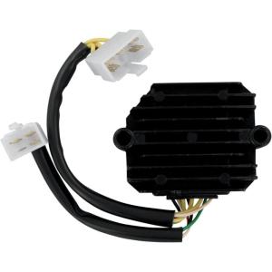 RICK’S MOTORSPORT ELECTRIC リックズモータースポーツエレクトリック レギュ...