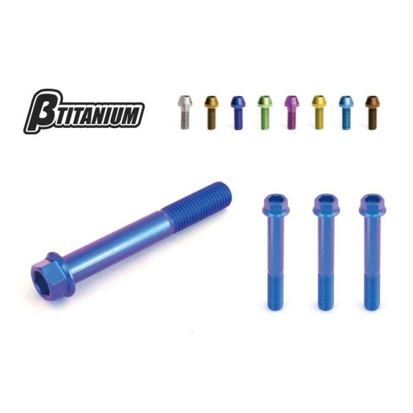 βTITANIUM ベータチタニウム フロントキャリパー マウントチタンボルトキット カラー：ウッド...