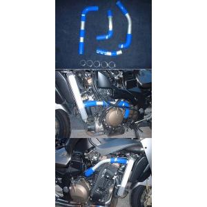 RADICAL ラジカル TUBE SUPPLY ウォーターラインシステム カラー：レッドアルマイト...