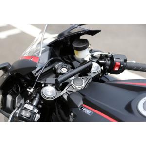 NEXRAY CARBON DRY ネクスレイカーボンドライ リアフェンダー