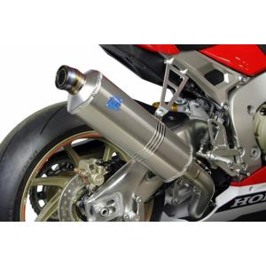 AKRAPOVIC (アクラポビッチ) スリップオンライン (カーボン