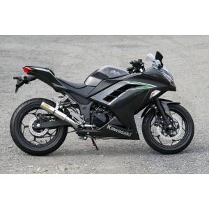 ヨシムラ（YOSHIMURA） 機械曲GP-MAGNUMサイクロン EXPORT SPEC 政府