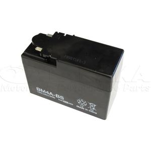 ELIIY Power（エリーパワー） リチウムイオンバッテリー用充電器