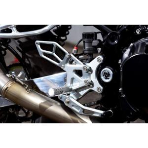 A-TECH（エーテック） A-TECH K100655 Z900RS リアフェンダーSPL 綾織