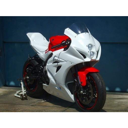 CLEVER WOLF クレバーウルフ 耐久フルカウル ＜ENDURANCE RACE UPPER ...