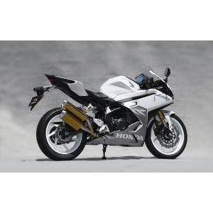YAMAMOTO RACING（ヤマモトレーシング） SPEC-A SLIP-ON TWIN チタン 2