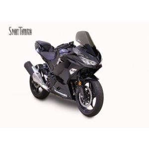 Ninja400（ニンジャ）18年 スクリーン スポーツツーリング ダーク