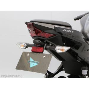Ninja250SL BA250A ヘッドライト フェンダーレスセット Ninja250SL フェンダーレスキット – A-TECH Online Shop