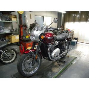 WM ダブルエム アロイビキニカウルキット ス...の詳細画像1