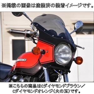 Magical Racing（マジカルレーシング） カーボントリムスクリーン 仕様