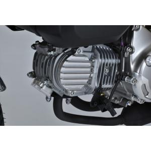 スペシャルパーツ武川 SP武川 モンキー/ゴリラ（12V） MAGNESIUM