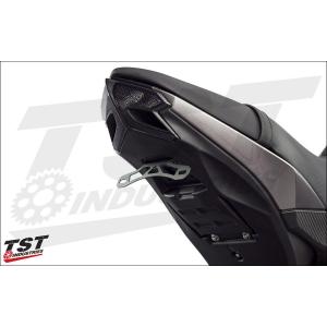 TST ティーエスティー フェンダーレスキット INCLUDE MOUNTS FOR OEM TURN SIGNALS：Yes，Please Z125 2017-2018 KAWASAKI カワサキ