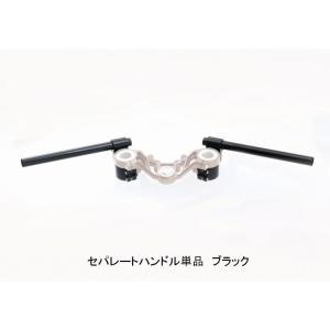 COERCE（コワース） フェンダーレスキット イナズマ1200(GSX1200FS