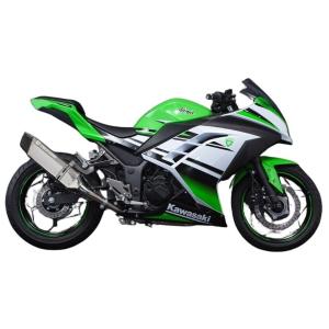 AKRAPOVIC（アクラポビッチ） 18~ Ninja250 Ninja400 Akrapovic
