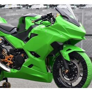 Ninja250R サイドカウル グリーン 左のみ Ninja250R サイドカウル グリーン 左のみ 楽天市場】ninja250r カウル