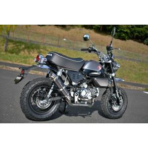 BASSANI バッサーニ Radius Sweeper Exhaust System［1810-2231］ XV