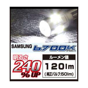 DELTA DIRECT デルタダイレクト HL LED T10 SAMSUNG 5W 6700k