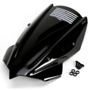 POWERBRONZE ネイキッド・スクリーン カラー：ブラック Z e-1 Z250